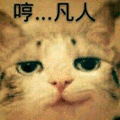 哼 猫 凡人