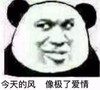 暴漫 文字表情包 今天的风 像极了爱情 搞笑 逗 沙雕