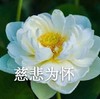 魔性 搞笑 沙雕 头像 佛系
