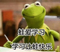 卡通 青蛙王子 微笑 学习 蛙爱学习