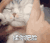 萌宠 猫星人 揉你肥脸 生气 呆萌 可爱