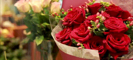 情人节 红玫瑰 好漂亮 浪漫