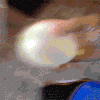 搞笑 逗乐 搞怪 猫猫