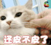soogif soogif出品 捏脸 你很皮