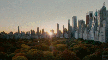 延时摄影 timelapse 纽约中央公园