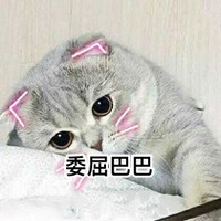 猫咪 难过 可怜 委屈巴巴