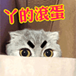 猫咪恶搞扔屎丫的滚蛋gif动图_动态图_表情包下载_soo