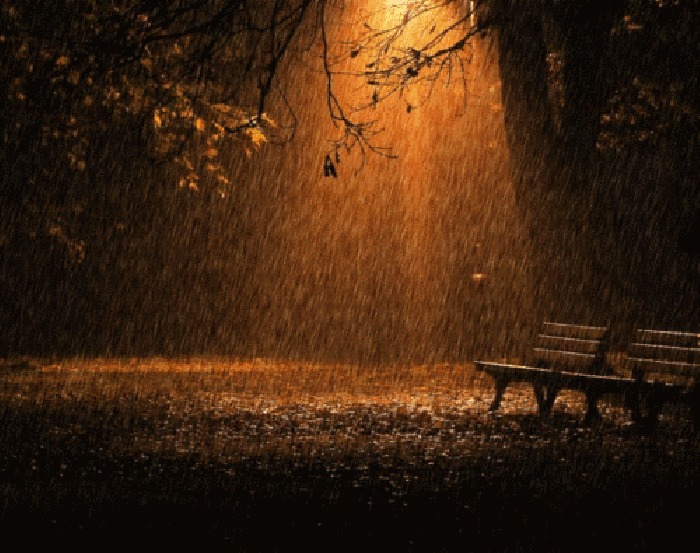 夜晚 公园 下雨 安静