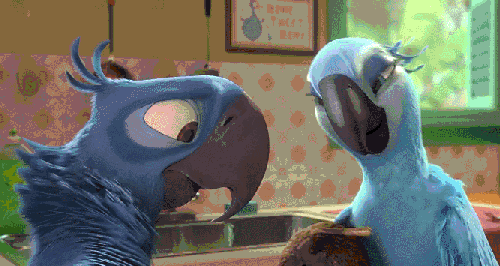 动物 动画 好奇 敲 电影 萌 表情包 里约大冒险2 鹦鹉