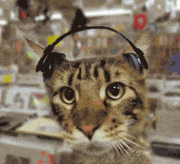 猫咪 听音乐 喵星人 耳机 摇晃