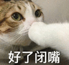 萌宠 喵星人 好了闭嘴 别再说了 呆萌 憨憨