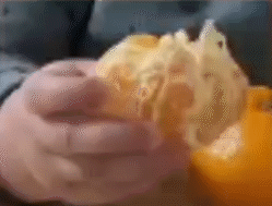 橘子 剥桔子 桔子