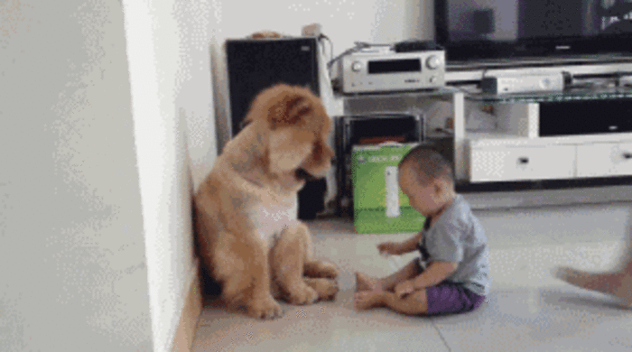 小孩 狗狗 玩耍 有爱