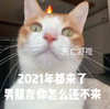 萌宠 猫星人 2021年都来了 男朋友怎么还不来 呆萌 可爱