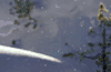 下雪 地球脉动 纪录片 美 阳光 风景