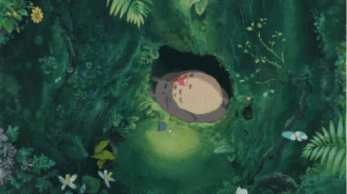 龙猫 洞穴 蝴蝶 可爱