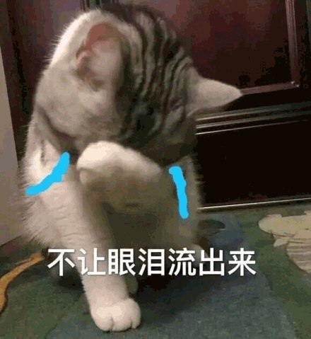 猫咪 可爱猫 不想眼泪流出来 搞怪 逗