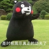 是时候展示真正的功夫了 熊本熊 姿势 有样