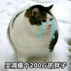 猫咪 眼泪 哭的像200 斤的胖子