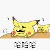 斗图 皮卡丘 哈哈哈 开心 得意 soogif soogif出品