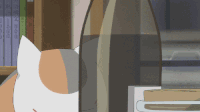 夏目友人帐 动漫GIF 小猫 推门