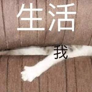 猫 萌宠 喵星人 生活 我 压迫