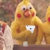 鹦鹉兄弟 可爱 搞笑 手机 嗯
