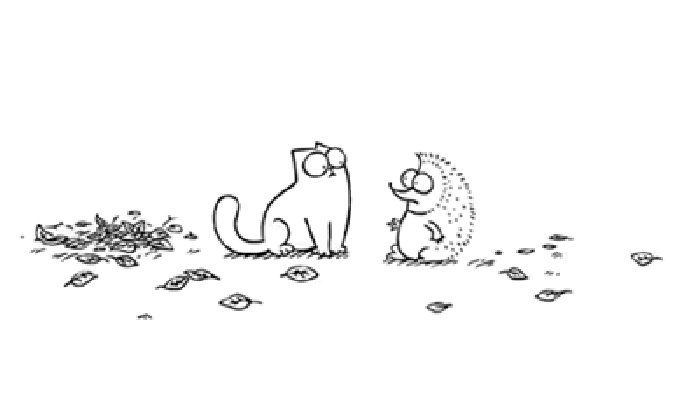 小猫 刺猬 动态 搞笑