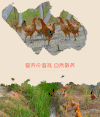 食物  清香  图片   动物