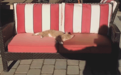 猫咪 搞笑 雷人 沙发 慵懒 挪动