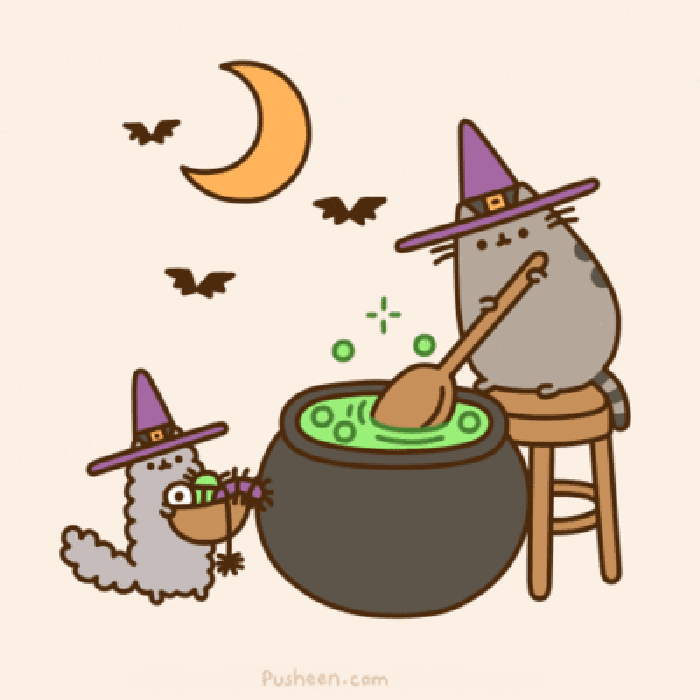 月亮 蝙蝠 老鼠 煲汤