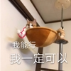 萌宠 猫星人 我能行 我一定可以 呆萌 可爱