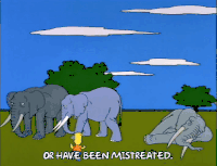 5季 战斗 巴特辛普森 17集 动物 大象 5x17 摔倒 碰撞 动物的战斗