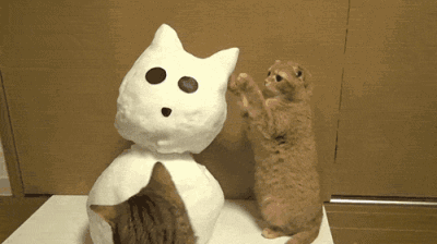 猫咪 喵星人 搞笑 雪人 惊吓 可爱
