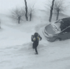 雪地 白色 树 汽车