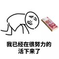 无奈 已经很努力的 活下来了 崩溃