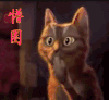 蒙圈