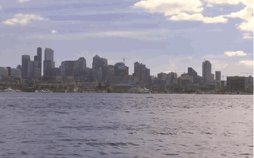 城市 海洋 纪录片 美国 西雅图