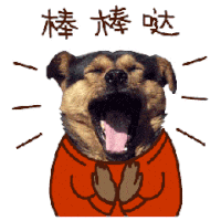 萌宠 小狗 棒棒哒 可爱 鼓掌