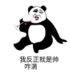 暴漫 文字表情包 我反正就是帅咋滴 搞笑 逗 沙雕