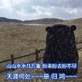 熊本熊歌词表情 熊 可爱 山山水水几万重盼来盼去盼不尽天涯何处是归鸿