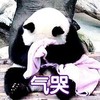 气哭 熊猫 捂脸