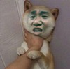 金馆长 狗狗 掐脖子 牙齿