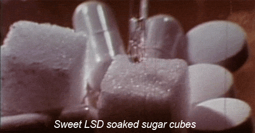 食物 方糖 滴水 药片