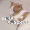 萌宠 猫星人 捂住嘴巴 不让自己哭出声 搞怪 逗