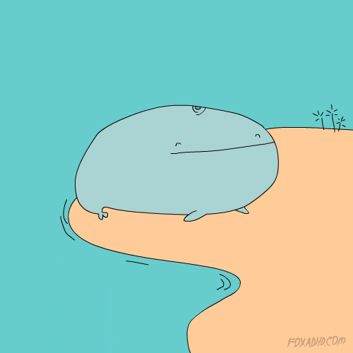 鲸鱼 喷水 艺术 动画