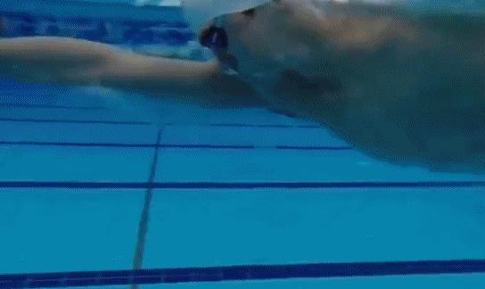 游泳先生GIF动态图_游泳先生表情包_游泳先生