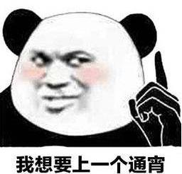熊猫头 搞笑 蠢萌 逗 魔性