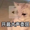 萌宠 猫星人 开最大声委屈 难受 呆萌 可爱