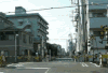 马路  列车  行驶  一节